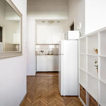 Vulcan Near Danube * Budapeste