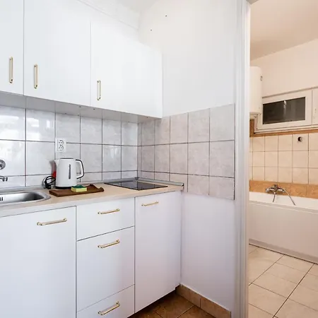 Vulcan Near Danube Lejlighed